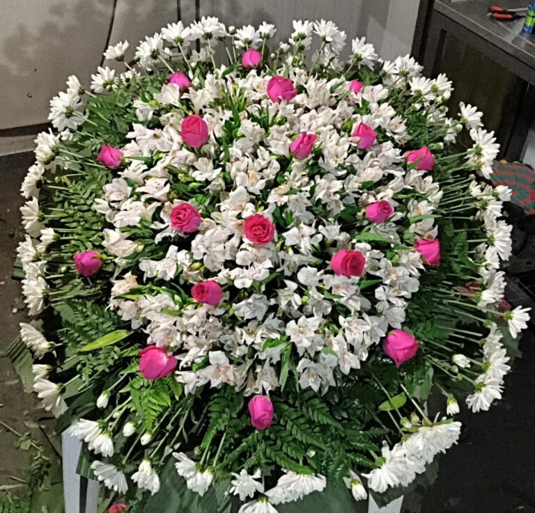 03082200-38ef-4db6-9dd9-e77ed9ad339d (1)