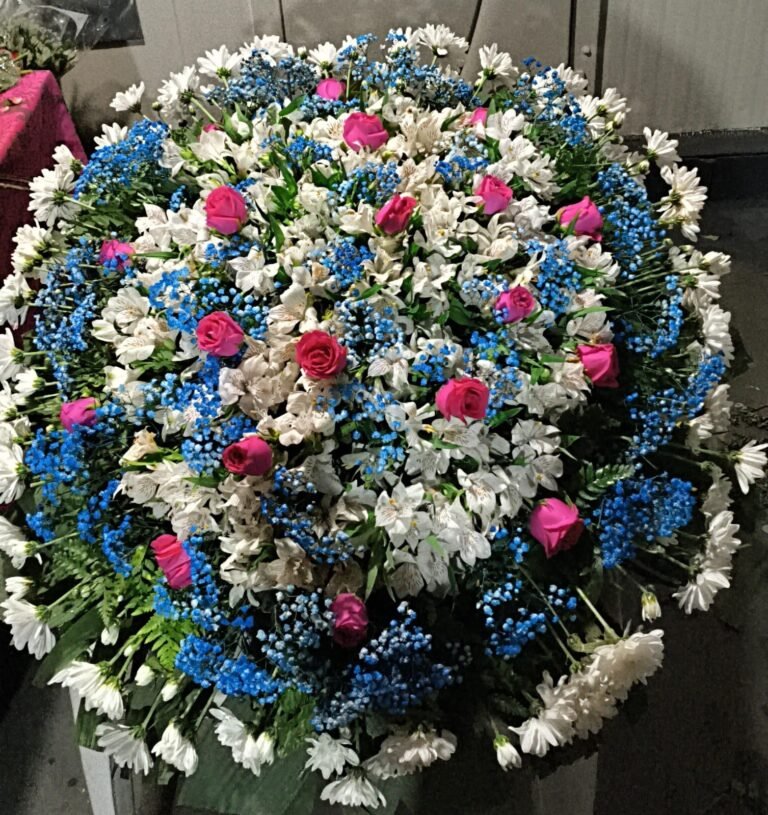 e721000e-aec8-4bf5-b4fb-67b60ce9af0c